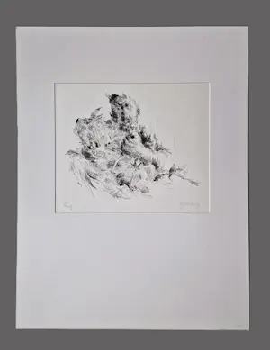 Jan Mensinga - unieke jaren 80 proefdruk monochrome lithografie "man met haan" kopen? Bied vanaf 35!