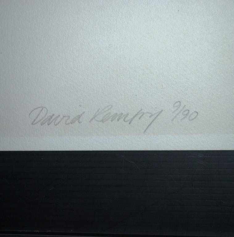 David Remfry - 2 vrouwen op een bank--grote litho oplage 90 door de brit David Remfry kopen? Bied vanaf 60!