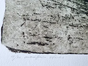 Michel van Overbeeke - Fraaie grote kleuren ets "mountain sticks" bep.oplage (14/30) - gesigneerd kopen? Bied vanaf 40!