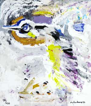 Nico Molenkamp - Zeefdruk, Vogel verkocht voor € 1!