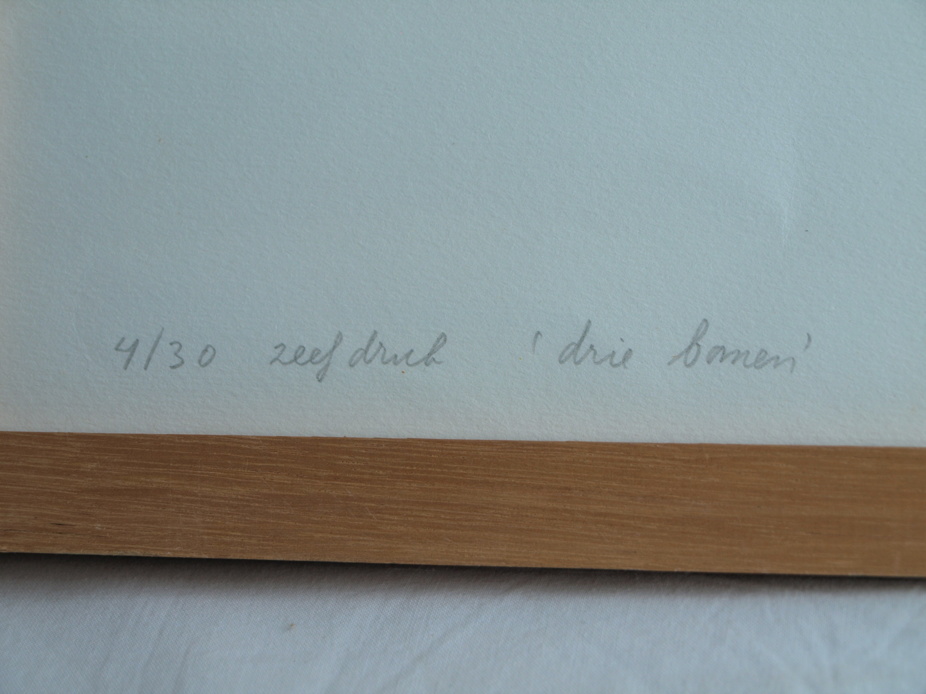 Frank Daalder - Zeefdruk , Drie bomen – gesigneerd & ingelijst - 1977  kopen? Bied vanaf 1!