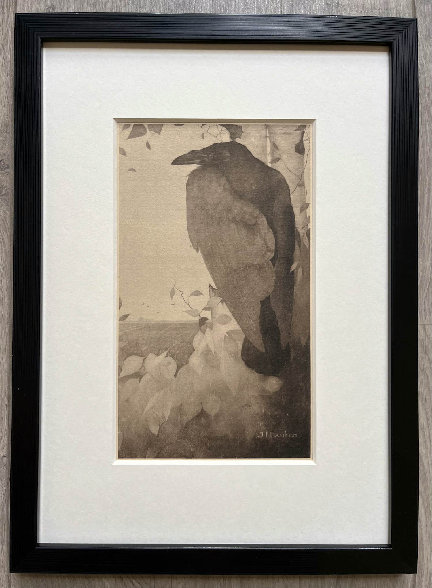 Jan Mankes - Originele Heliogravure Raaf in Berkenboom 1923 verkocht voor € 155!