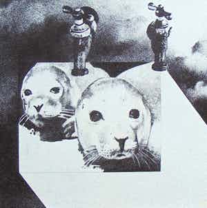 Sjouke Heins - Bij Pieterburen verkocht voor € 60!