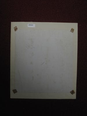 Niet of onleesbaar gesigneerd - Kleurrijk Aquarel Indonesië "Javaanse IJsvogel, Vlinders en Bloemen" gesigneerd kopen? Bied vanaf 10!