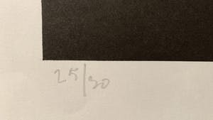 Dees De Bruyne - Homme à la veste rouge kopen? Bied vanaf 30!