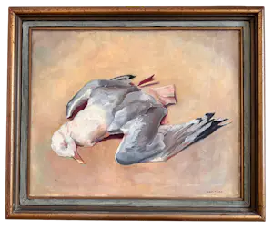 Dirk Trap - Doode meeuw kopen? Bied vanaf 225!