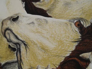 Carolein Smit - Carolien Smit kopen? Bied vanaf 100!