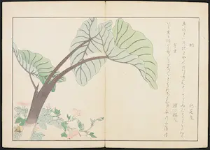 Kitagawa Utamaro - Houtdruk, Rups op groot blad en daas bij roze winde kopen? Bied vanaf 35!