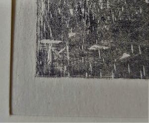 Theo van Hoytema - 'Witte kaketoe aan ketting op stok' kopen? Bied vanaf 50!