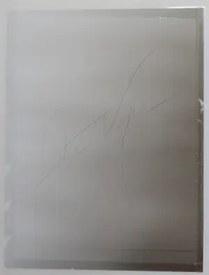 Stephan Vanfleteren - Landscape kopen? Bied vanaf 400!
