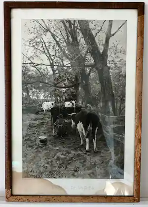Anton Mauve (sr.) - Koeien melken. Photogravure verkauft für € 1!