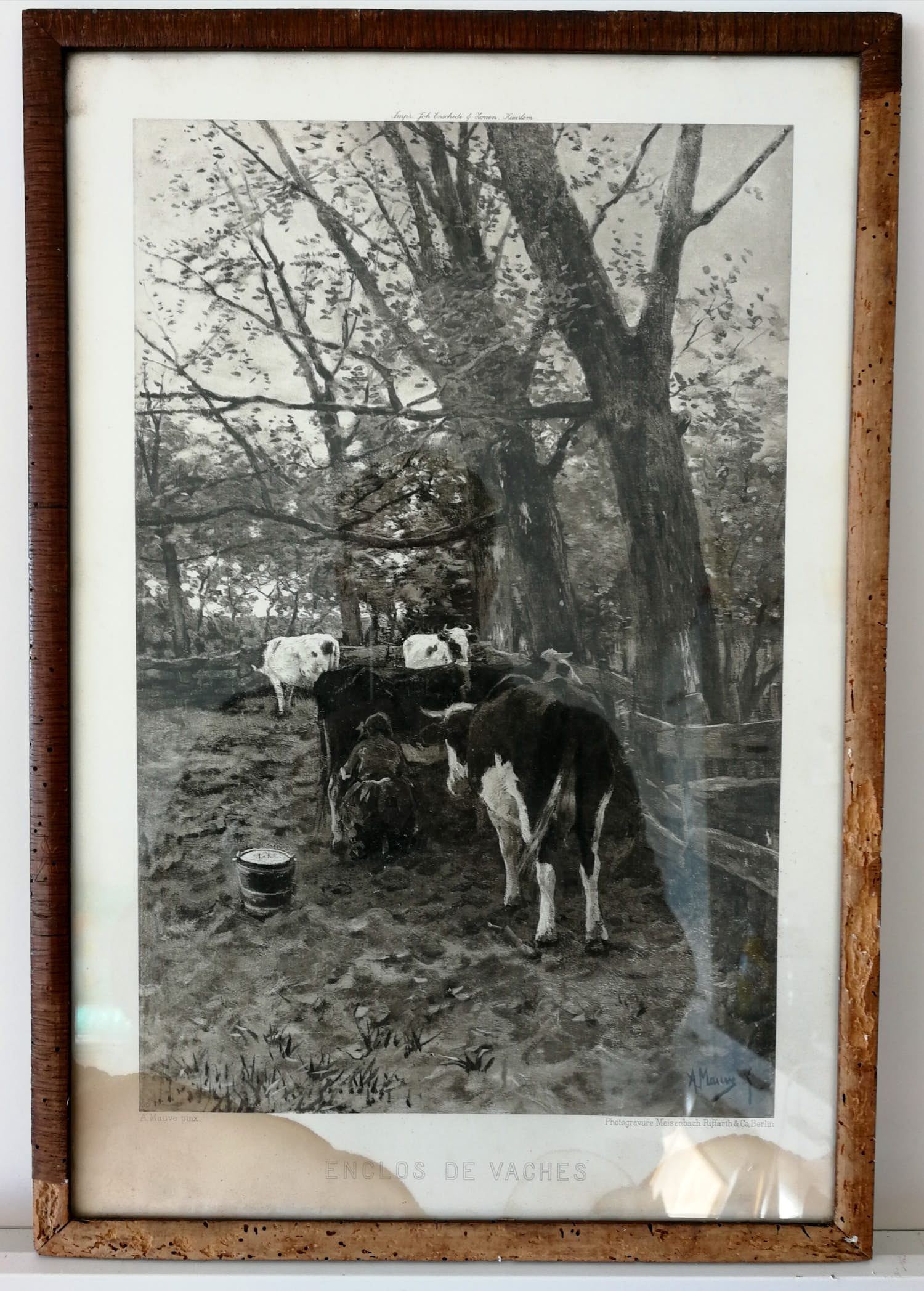 Anton Mauve (sr.) - Koeien melken. Photogravure verkocht voor € 1!