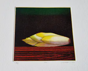 Joop Vegter - Fraaie kleine mezzotint "witlof" - bep. oplage (7/125) - potloodgesigneerd kopen? Bied vanaf 45!