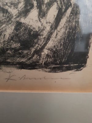 Kees Andrea - Weide met geiten kopen? Bied vanaf 5!