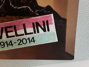 Woody van Amen - Cavellini 1914-2014,Campo di tutti capi kopen? Bied vanaf 10!