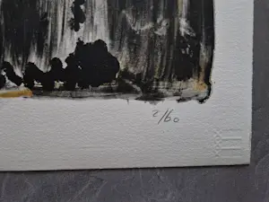 Gerbrand Volger - Grote kleuren lithografie "duikvlucht" - beperkte oplage (60) - gesigneerd kopen? Bied vanaf 37!