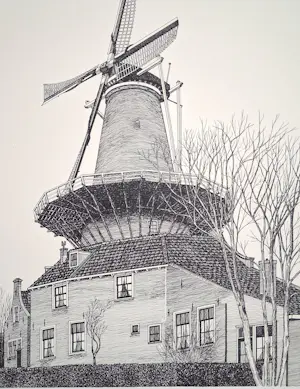 Buy Sees Vlag - Delft Molen De Roos? Bid from 85!