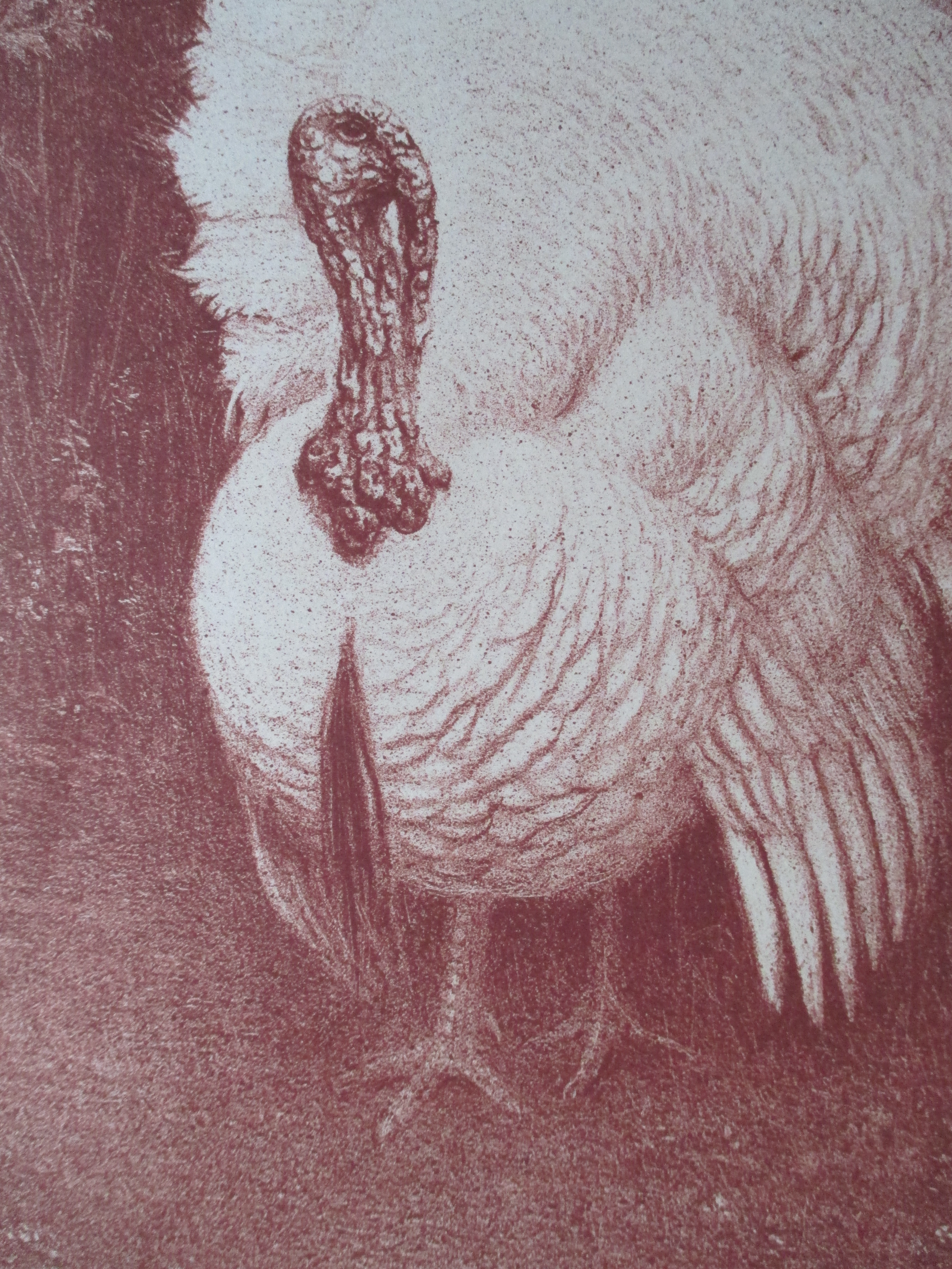 Henri Verstijnen - Litho Kalkoen kopen? Bied vanaf 35!