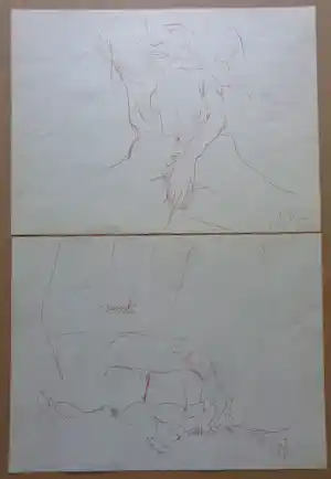 John Lennon - EROTIEK / 2 STUKS / KLEURLITHO / 37x50cm / YOKO ONO verkauft für € 25!