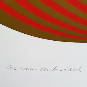 Rob Schotman - circum centrisch kopen? Bied vanaf 50!