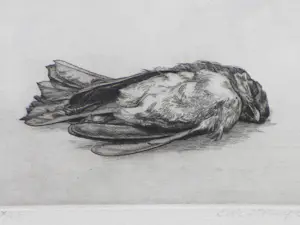 AcheterDick Stolwijk - Dood vogeltje - Ets? Enchérissez de 55!