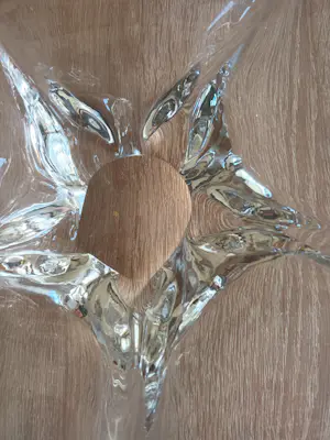 Royal Leerdam - Schaal ontworpen door Siem van der Marel kopen? Bied vanaf 10!