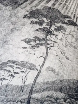 Adrianus Johannes Grootens - Nieuwe zakelijkheid Ets "paraplu bomen Afrika" 3e staat unica - gesigneerd kopen? Bied vanaf 34!