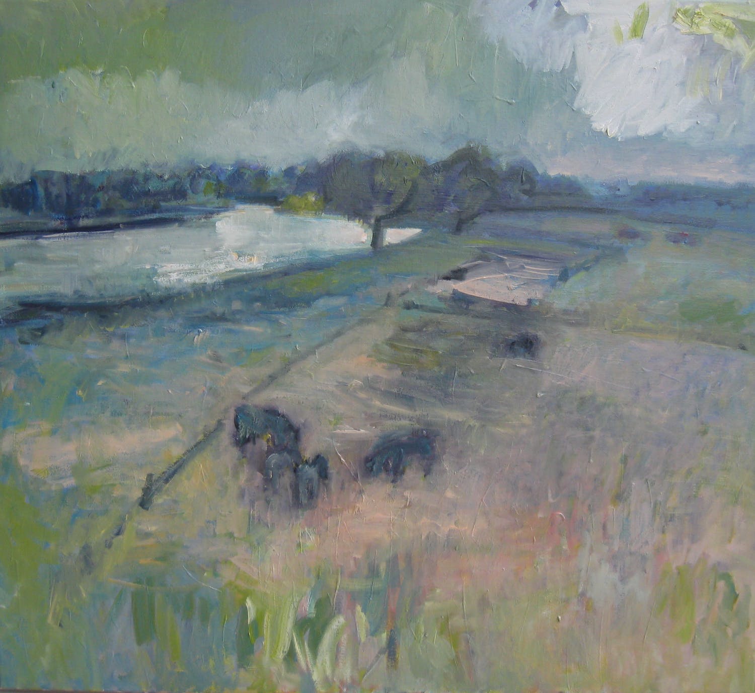 Theo van der Steen (1952)