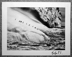Sebastiao Salgado - Autogram auf Fotografie Chinstrap Penguins South Sandwich Islands vendu pour 49€ !