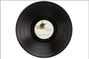 Damien Hirst - Gesigneerde albumhoes Red Hot Chili Peppers door Damien Hirst kopen? Bied vanaf 1200!