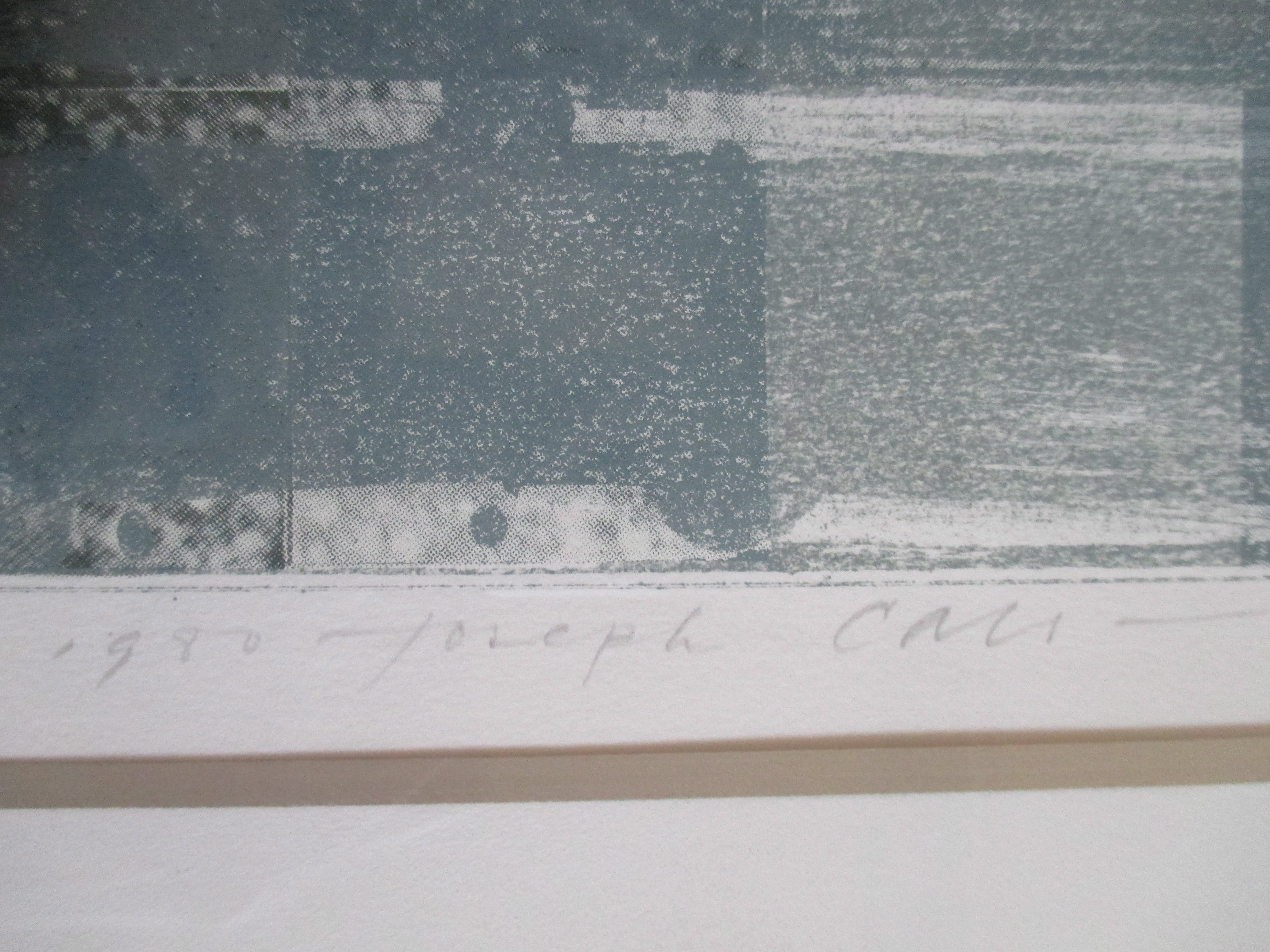 Joseph Cals - Ingelijste litho "Hommage aan Graham Sutherland" kopen? Bied vanaf 50!