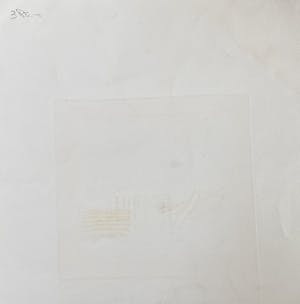 Jan Montyn - Kleurenets kopen? Bied vanaf 45!