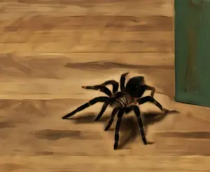 Mr Strange - De tarantula kopen? Bied vanaf 80!