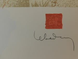 Dang Lebadang - Les Zèbres 1 kopen? Bied vanaf 15!