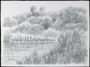 Bernard Koelman - Pentekening, Gras en graan kopen? Bied vanaf 1!