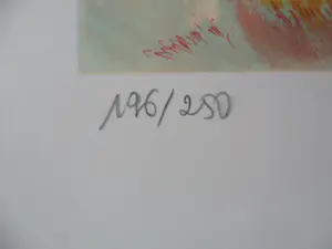 Ray Poirier - PROVENCE / KLEURLITHO / 76x56cm / kopen? Bied vanaf 35!