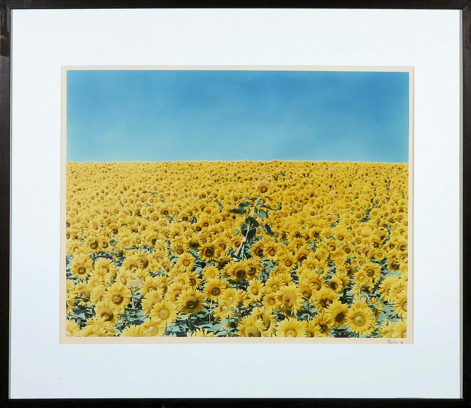 Jean Ruiter - Foto, I Surrender - Ingelijst kopen? Bied vanaf 50!