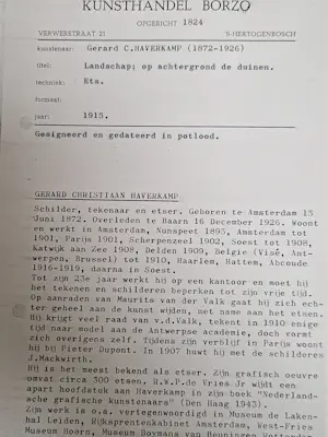 Gerrit Haverkamp - Landschap met duinen kopen? Bied vanaf 30!