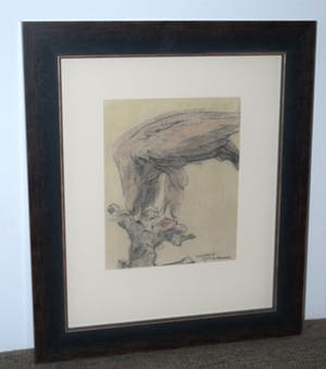 Willem Vaarzon Morel (sr.) - krijttekening van een arend - zeer fraai ingelijst kopen? Bied vanaf 275!