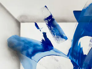 Parscha Mirghawameddin - Panic Room kopen? Bied vanaf 200!