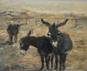 Jan Groenestein - C4574 - Ezeltjes kopen? Bied vanaf 350!