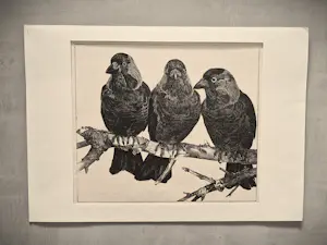 Willem Abraham Wassenaar - monochrome jaren 30 lithografie "3 kauwen op tak" potloodgesigneerd kopen? Bied vanaf 34!