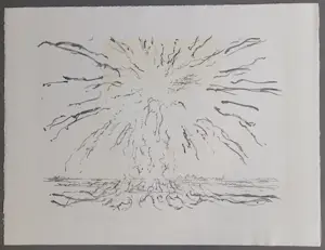 Willem den Ouden - gesigneerde litho kopen? Bied vanaf 79!