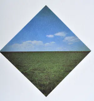 Ger Dekkers - Bulb-fields, Noordoostpolder, Holland - offset - 49x64 cm - 1979 kopen? Bied vanaf 50!