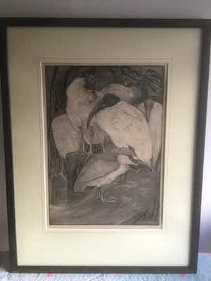 Theo van Hoytema - Mooie vogels verkocht voor € 10!