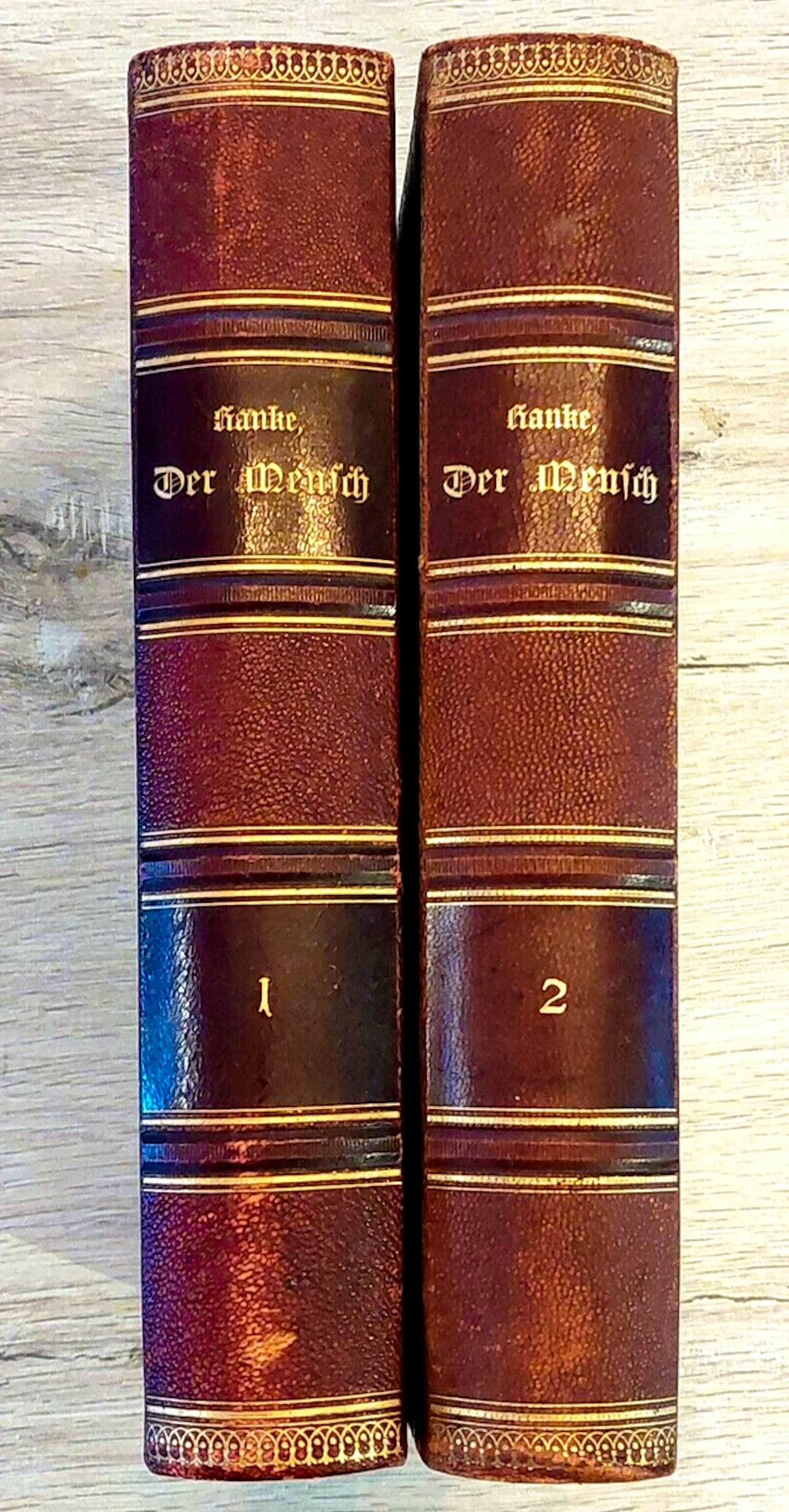 Antiquarisch Boek - 1900 Ranke, Dr. Johannes - Der Mensch. Zwei Bände ...