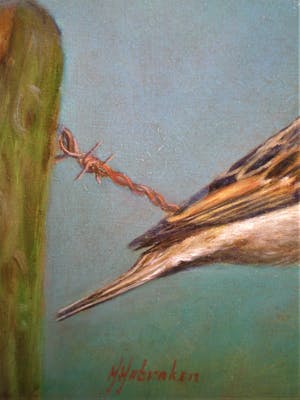 Hans Habraken - Mus op prikkeldraad kopen? Bied vanaf 275!