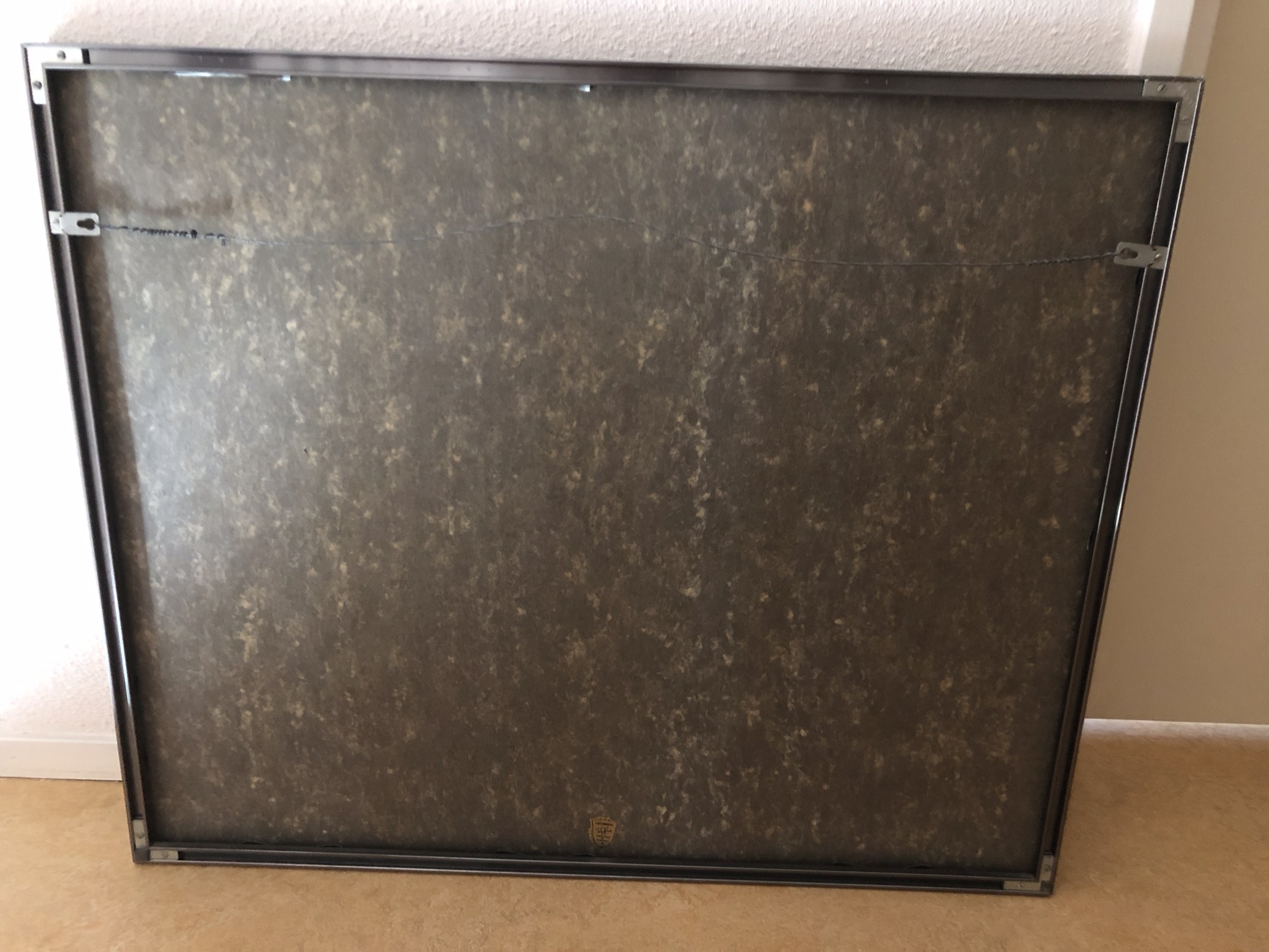 Edwin Brandt - Berkenbomen kopen? Bied vanaf 30!