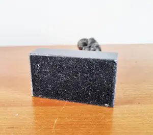 Vera de Haas - Haasje over kopen? Bied vanaf 50!