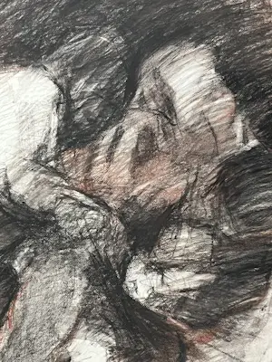 Hans Lie - JUDOKA’ S kopen? Bied vanaf 79!